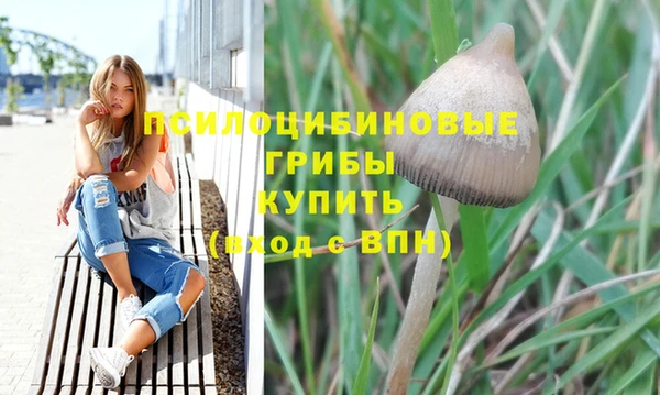 каннабис Няндома