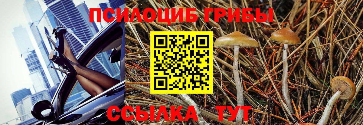 где можно купить наркотик  Галлюциногенные грибы MAGIC MUSHROOMS  Вход с VPN  Усть-Лабинск 
